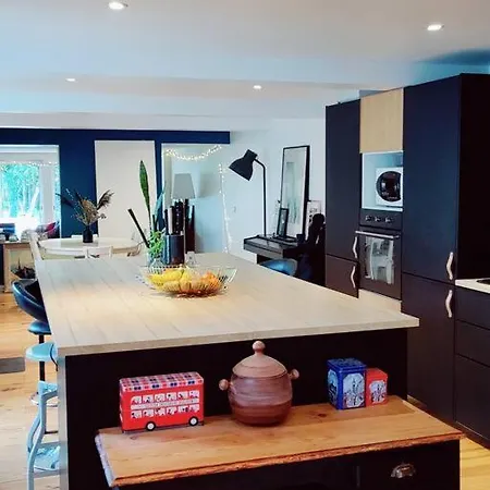 Grande Maison Familiale Avec Jardin Proximite Lille *